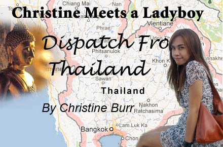 Thai Ladyboy Stories